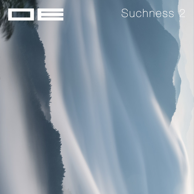 Suchness 2 cover art