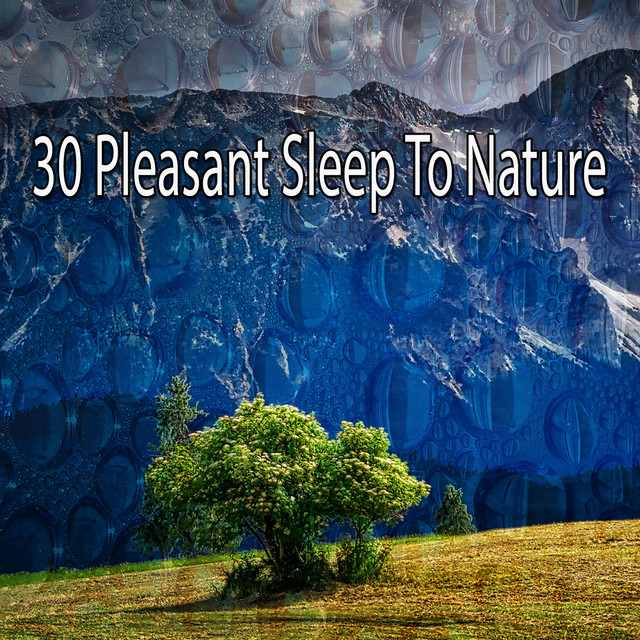 30 Pleasant Sleep To Nature - Album by Sleep Sounds of Nature | Spotify