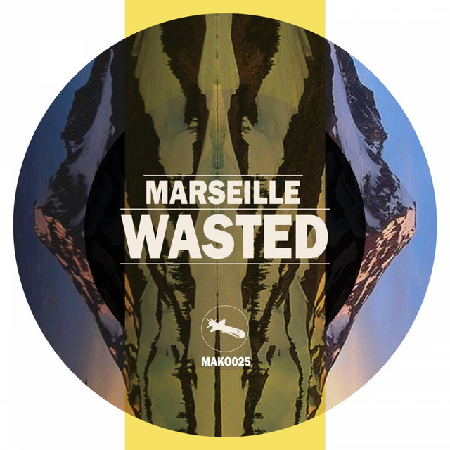 Wasted cover art
