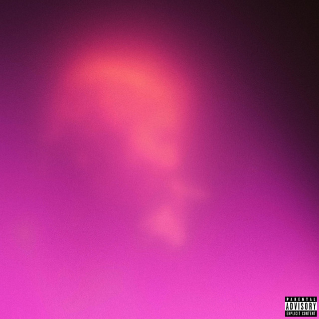 Vienna cover art