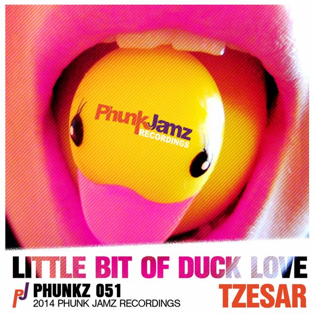 Little Bit Of Duck Love cover