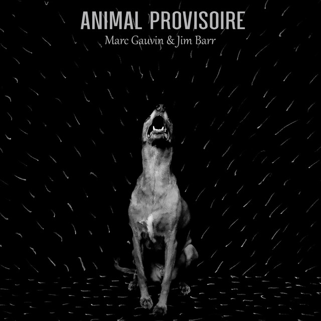 Cover du titre Singe et songeur