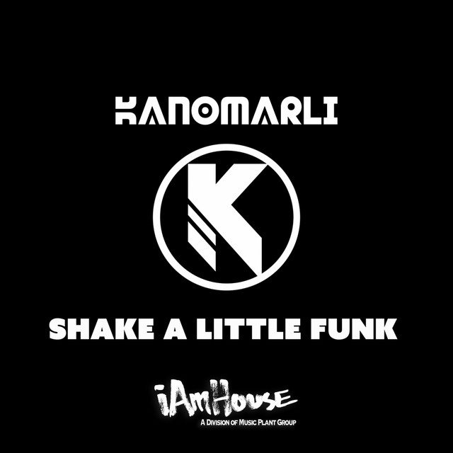 Shake A Little Funk cover art