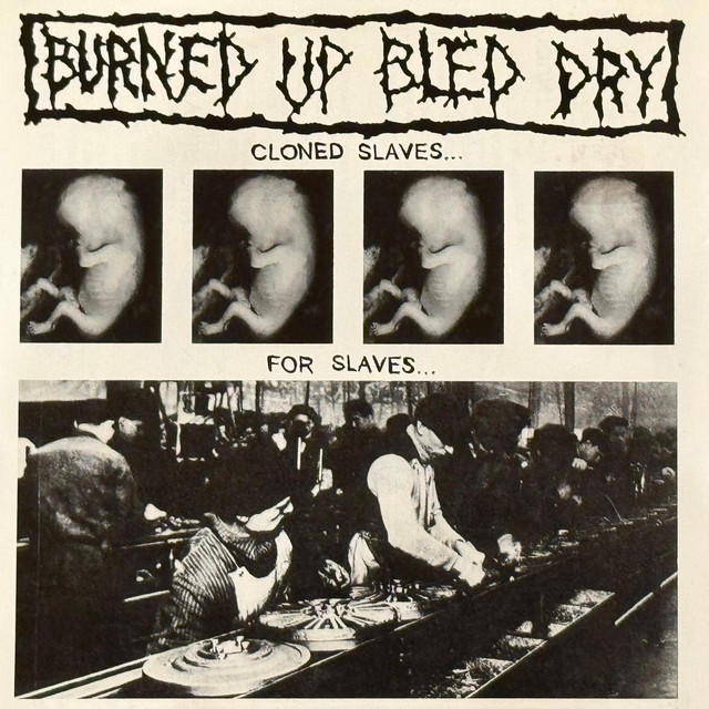 Burned Up Bled Dry