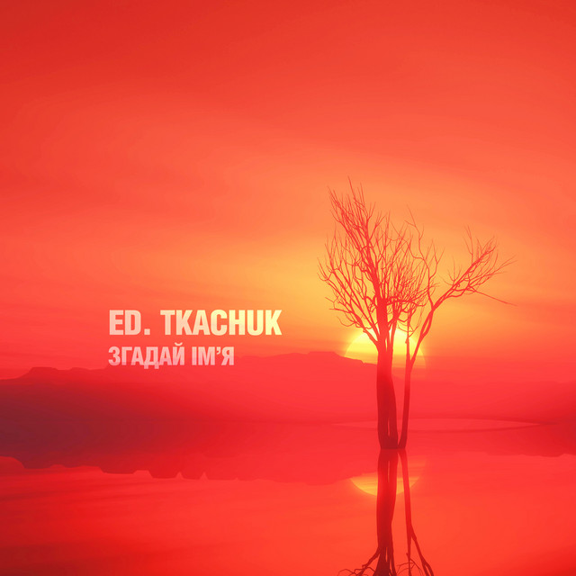 Обкладинка: Згадай ім'я — ED.TKACHUK