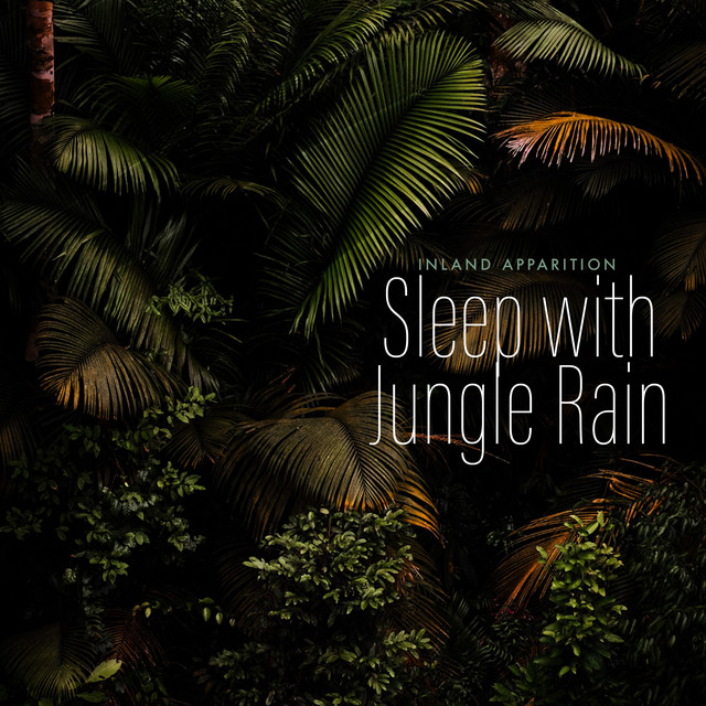 Sleep with Jungle Rain cover art
