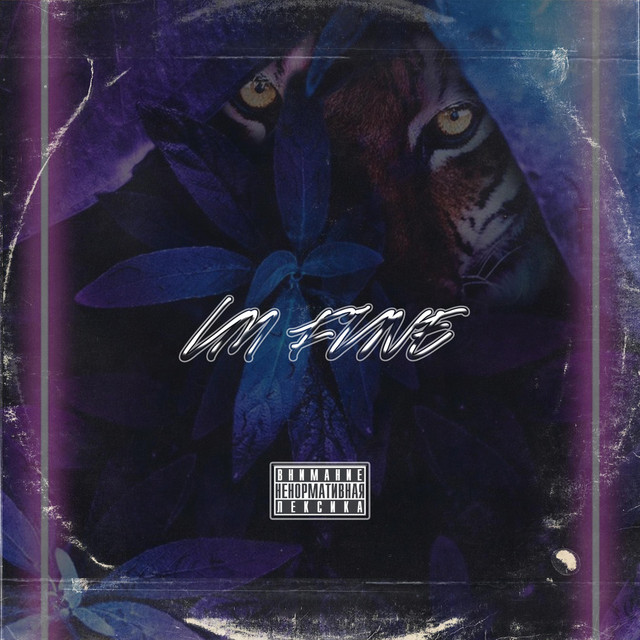 Im Fine cover art
