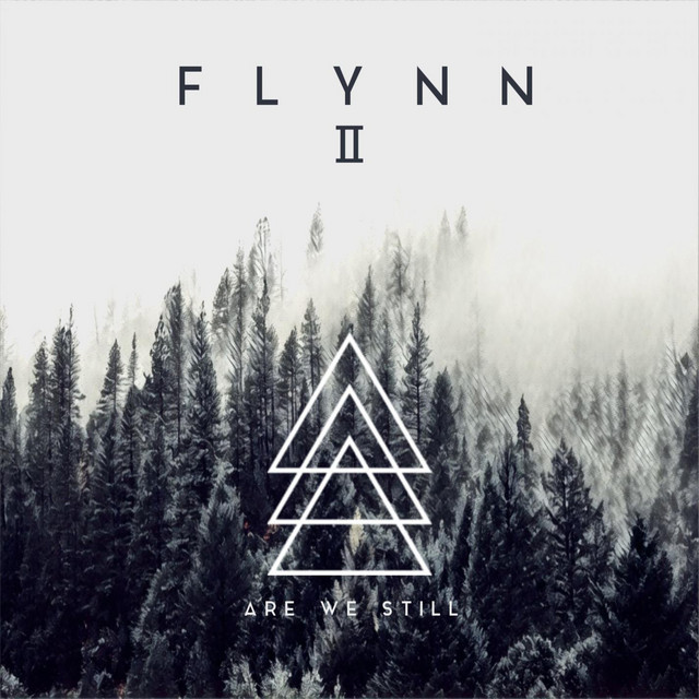 Flynn II: Are We Still cover art