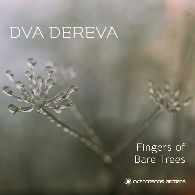 Обкладинка: Fingers of Bare Trees — Dva Dereva
