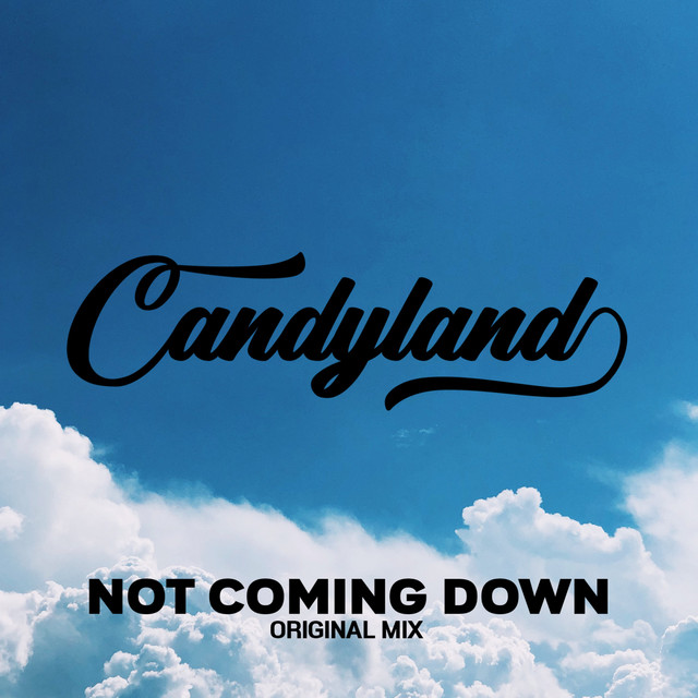 Not Coming Down cover art