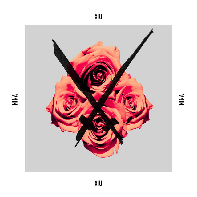 Nina cover art