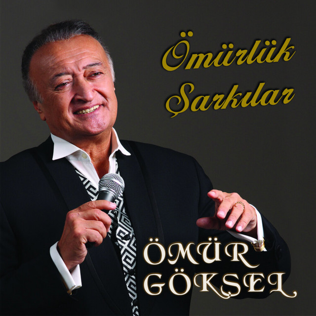 Ömürlük Şarkılar cover