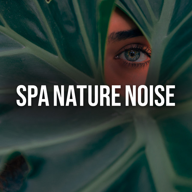 Spa Nature Noise ! ! ! - Album by Nature Sounds Relaxation: Music for ...