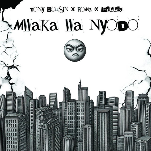Mwaka wa Nyodo