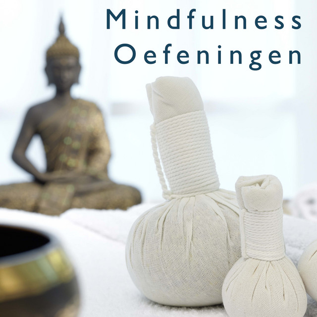 Mindfulness Oefeningen - Ontspanningsmuziek cover art