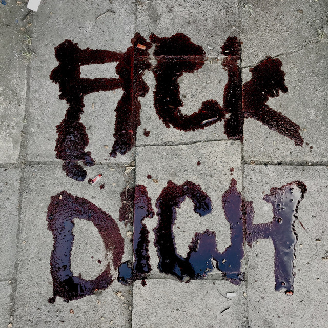 Fick Dich cover