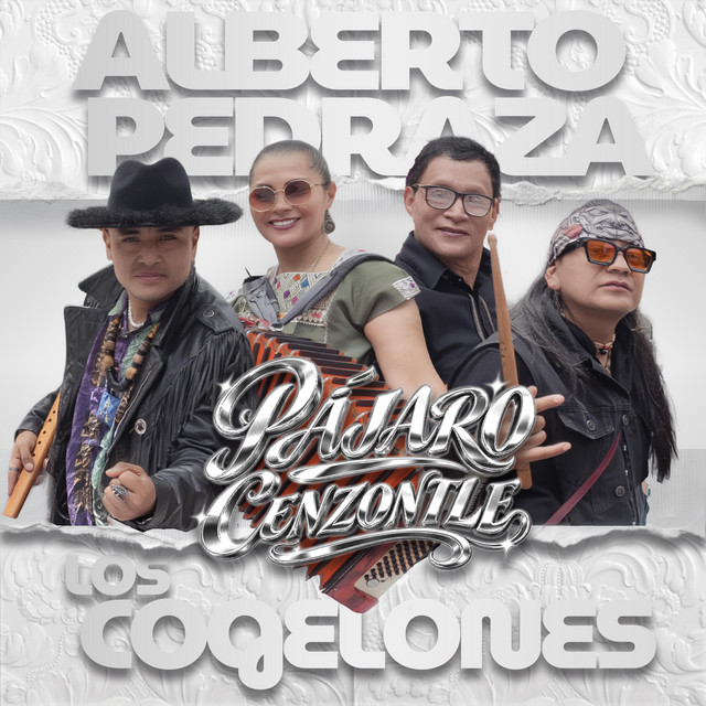 Pájaro Cenzontle album image