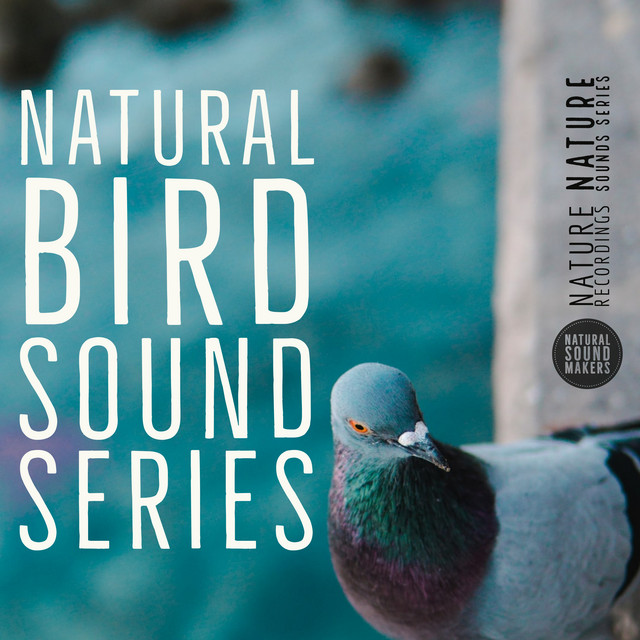 Natural Bird Sound Series - Album by Natural Sound Makers | Spotify