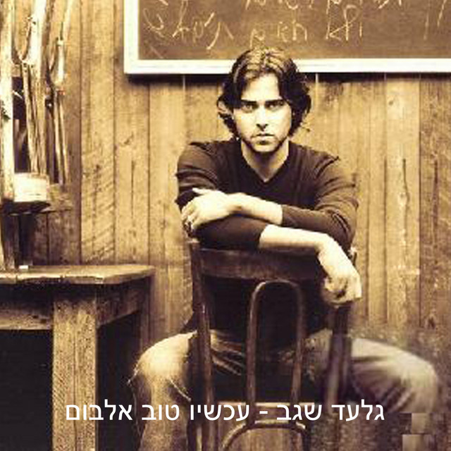 גלעד שגב Photo