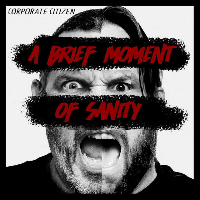 A Brief Moment of Sanity cover art