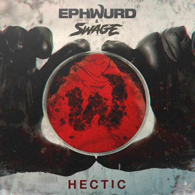 Hectic cover