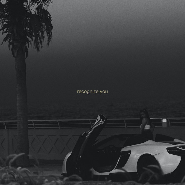 recognize you (feat. Nivo)