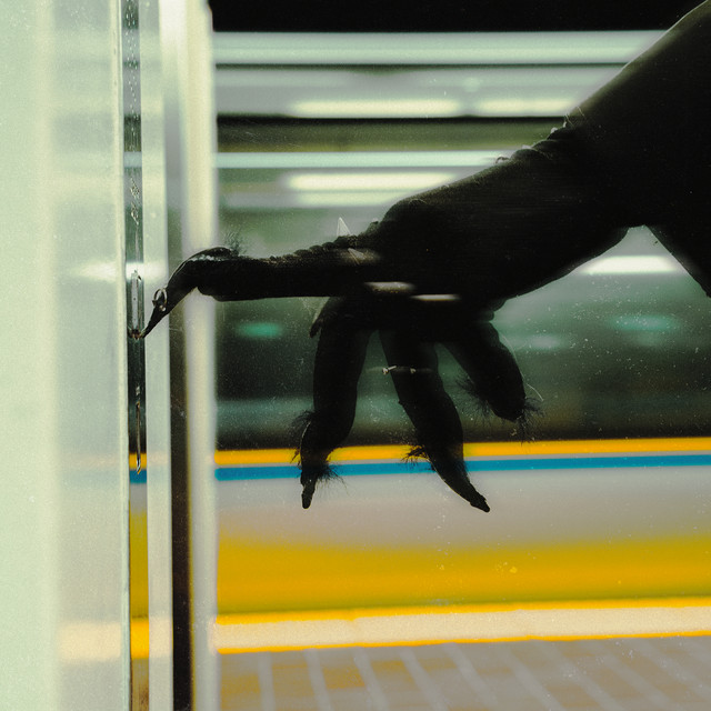 undefined album image