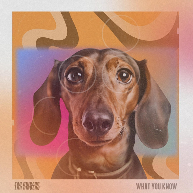 What You Know by Ear Ringers