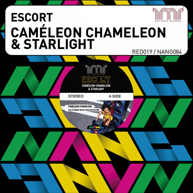 Cameleon Chameleon - Ilija Rudman Music Interpretation cover art
