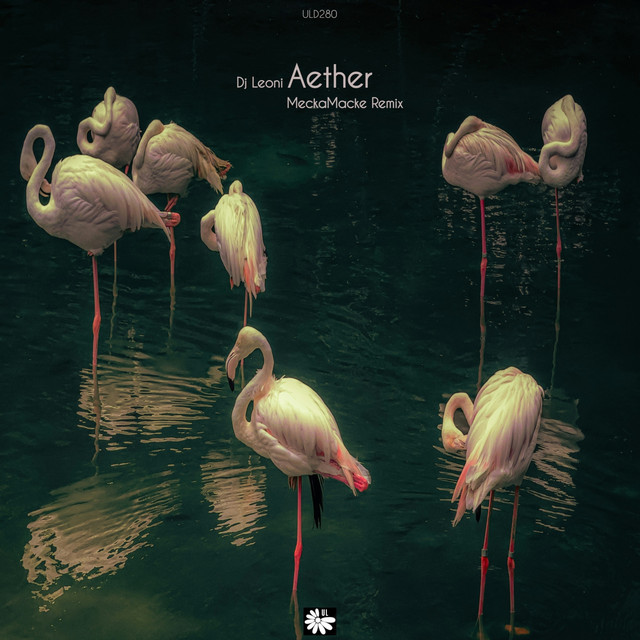 Aether - MeckaMacke Remix