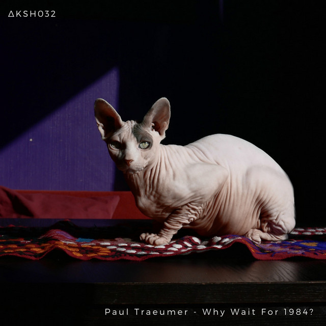 Why Wait for 1984? cover