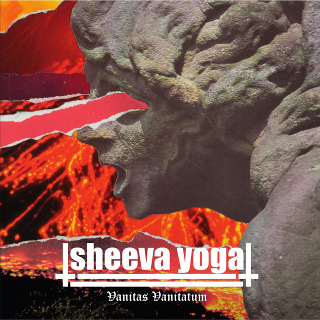 VANITAS VANITATUM cover art