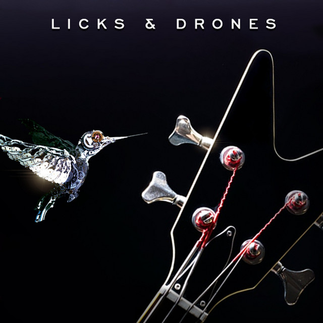 Licks & Drones cover art