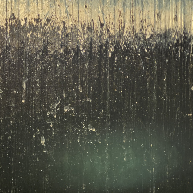 Cover of Contemplation by Jonas Hoffmann