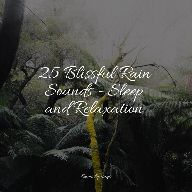 25 Loopable Rain & Nature Sounds - Album by Meditation Awareness | Spotify