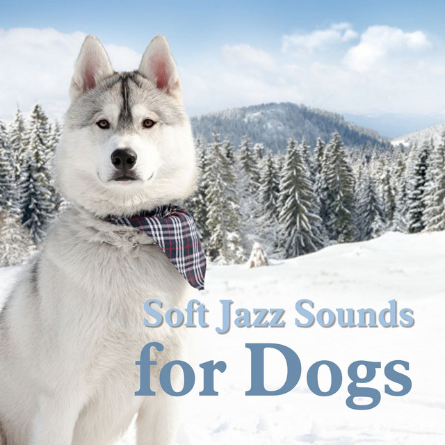 Soft Jazz Sounds for Dogs cover art