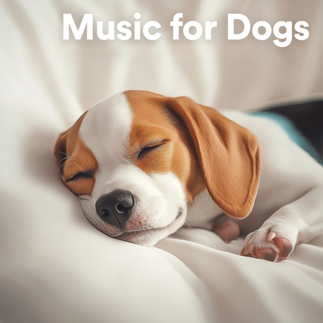 Music for Dogs cover art