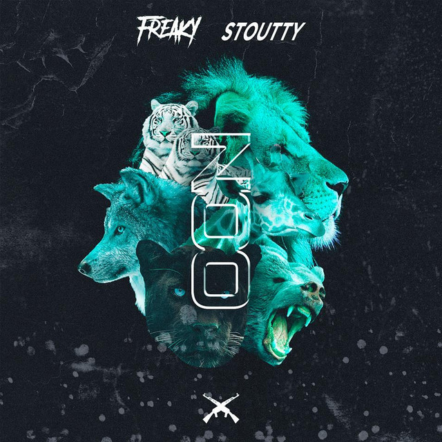 Обкладинка: Z00 — Stoutty