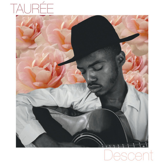 Tauree | Spotify