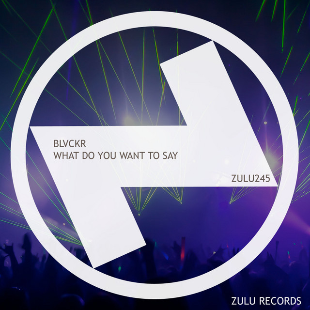 What Do You Want To Say - Extended Mix album art
