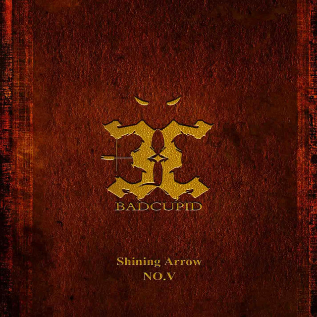 Shining Arrow NO.V cover art