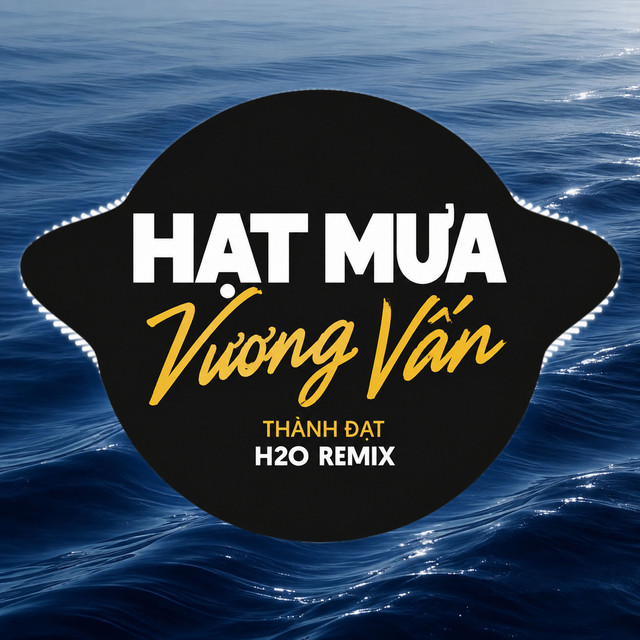 Hạt Mưa Vương Vấn (Remix) album image