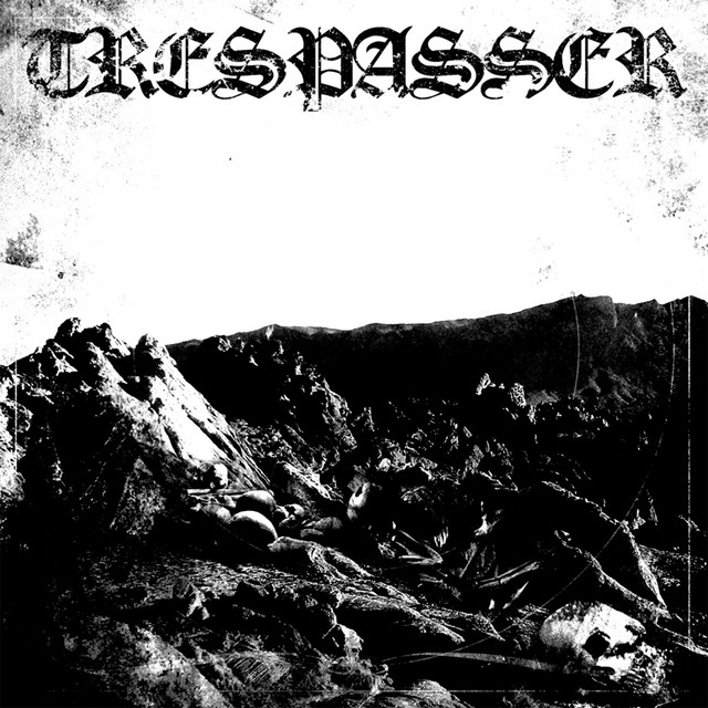 Demo 2013 cover art