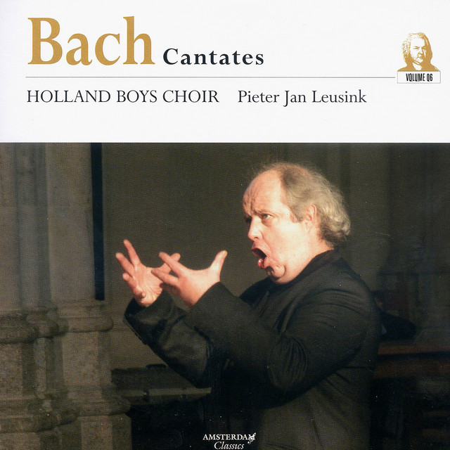 IV. BWV 73, Part 4: Aria: (Bass) Herr, wie du willt cover art