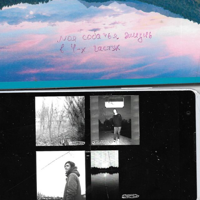 Моя собачья жизнь cover art