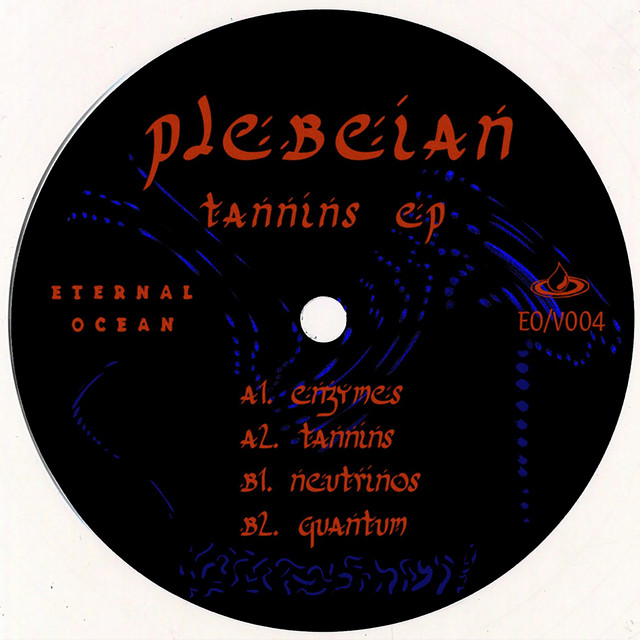 Enzymes album art