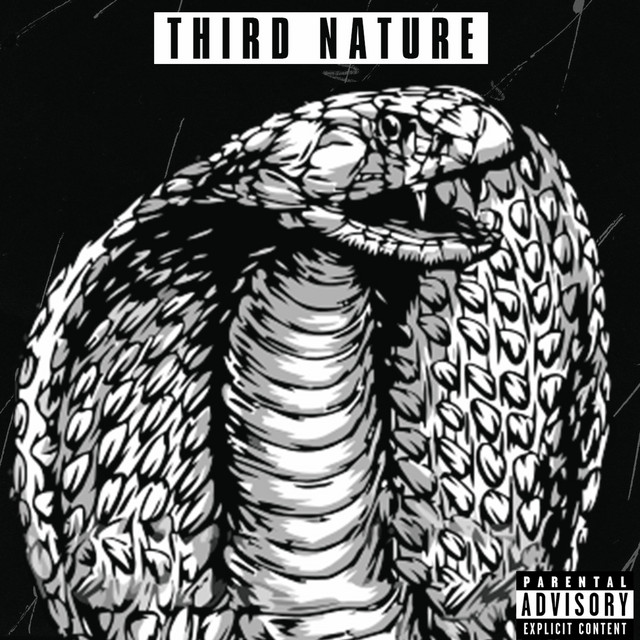 THIRD NATURE cover art