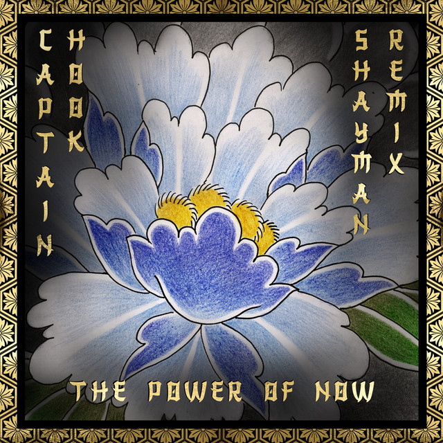 The Power of Now - Shayman remix album art