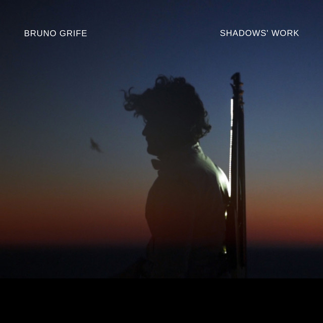 Shadows' Work cover art