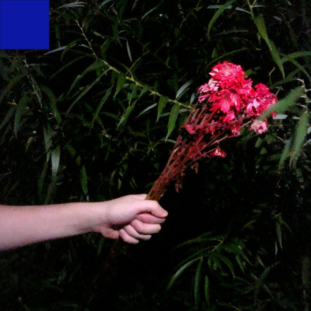 Shoulders cover art